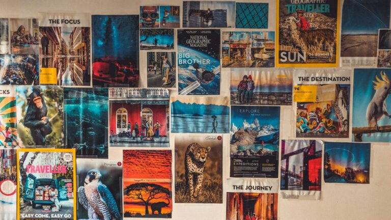 rishabh-pammi-0Dil44OvxmM-unsplash